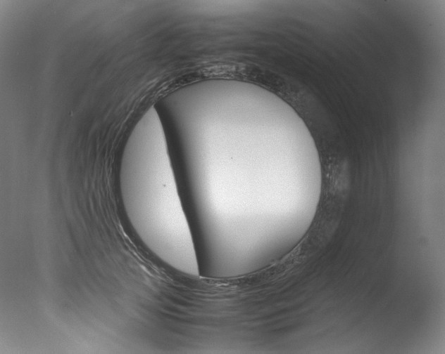 X0000077380753200610201042