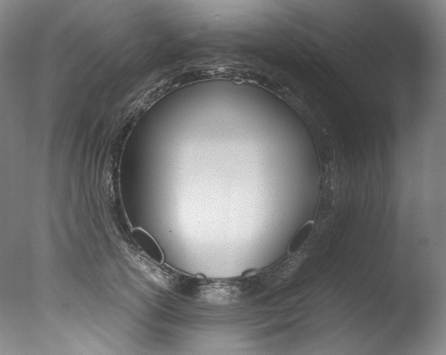 X0000077380754200610201042