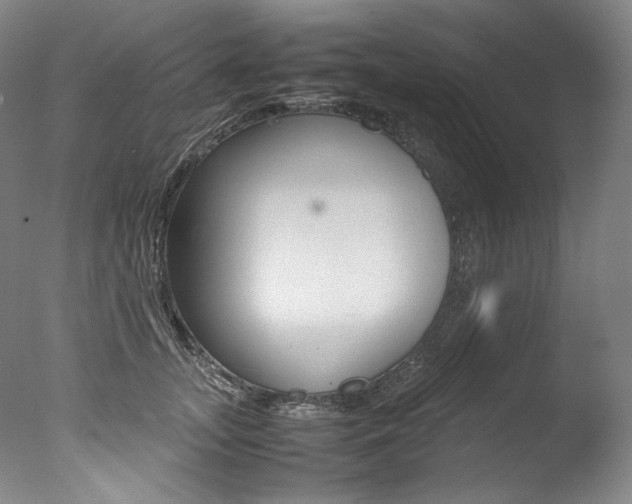 X0000077380755200610201042