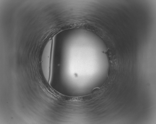 X0000077380756200610201042