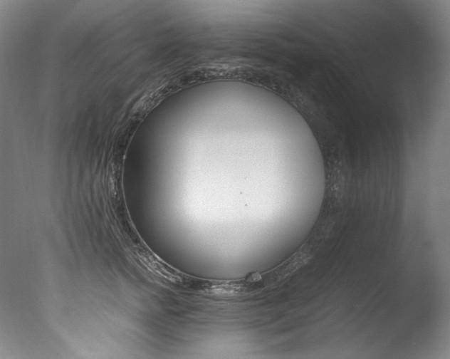 X0000077380758200610201042