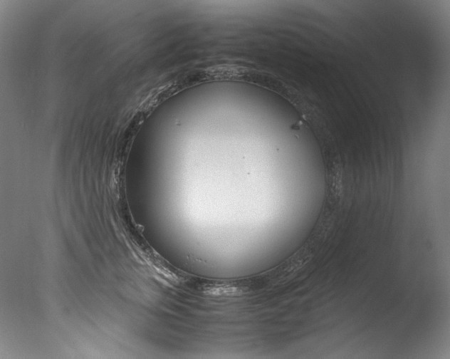 X0000077380759200610201042