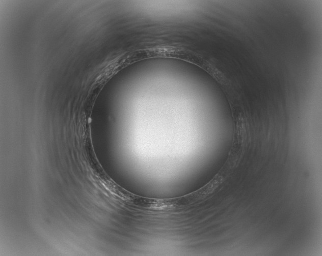 X0000077380760200610201042