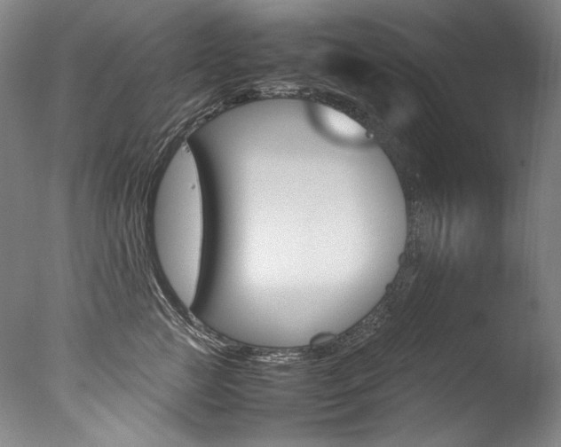 X0000077380761200610201042