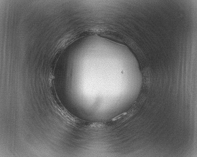 X0000077380762200610201042