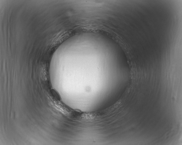 X0000077380764200610201043