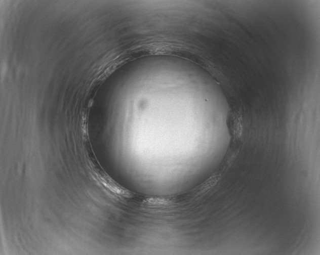 X0000077380766200610201043