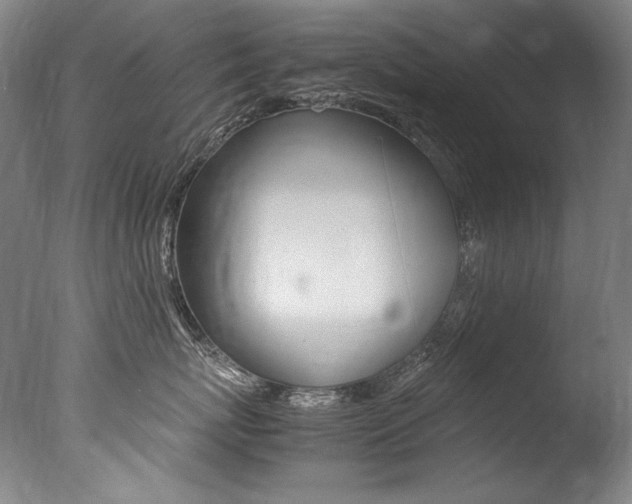 X0000077380767200610201043