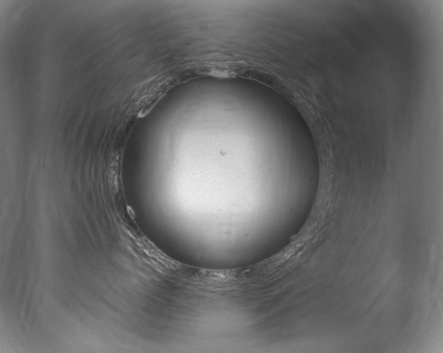 X0000077380768200610201043