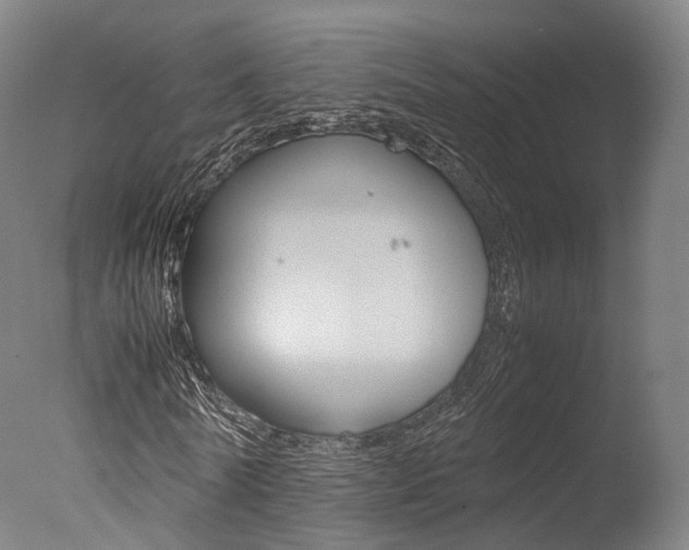 X0000077380770200610201042