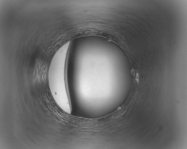 X0000077380771200610201042