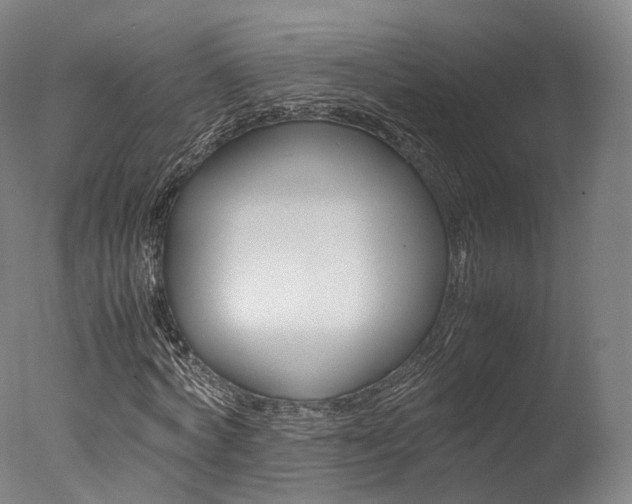 X0000077380772200610201042