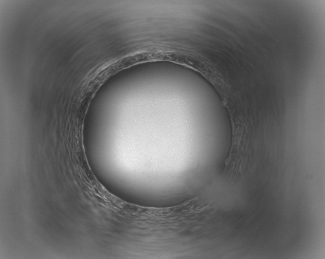 X0000077380773200610201042