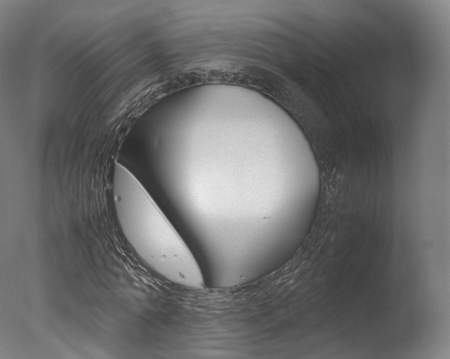 X0000077380774200610201042