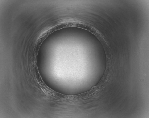 X0000077380775200610201042