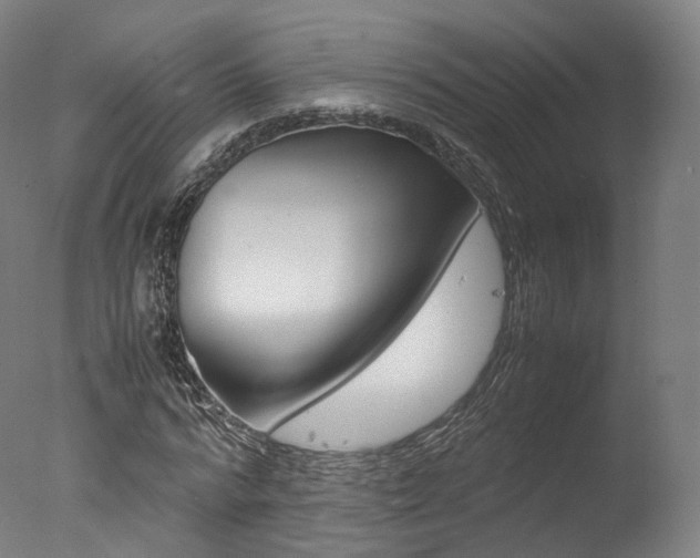 X0000077380776200610201042