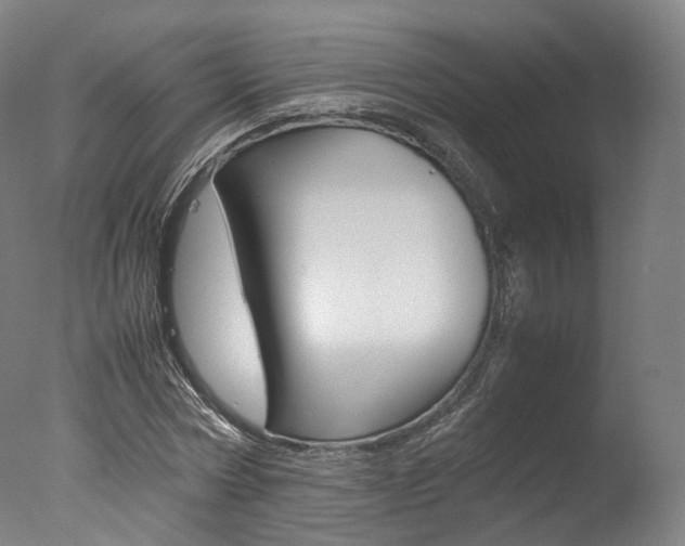 X0000077380778200610201042