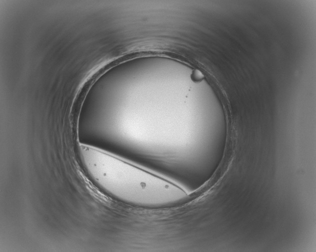 X0000077380779200610201042