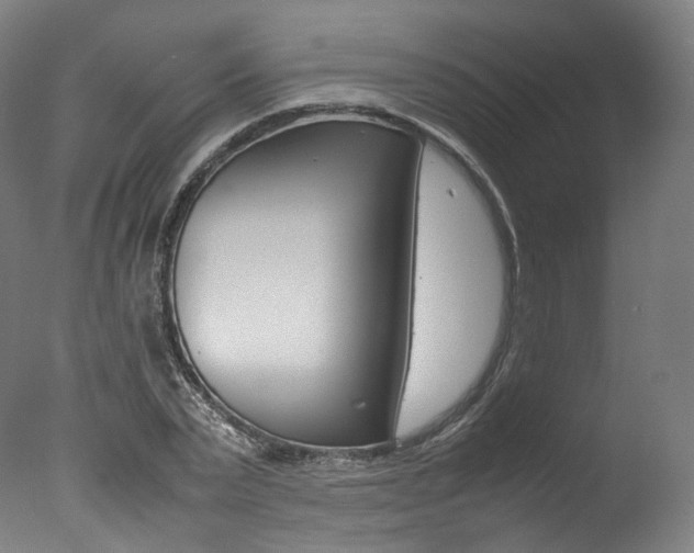 X0000077380783200610201042
