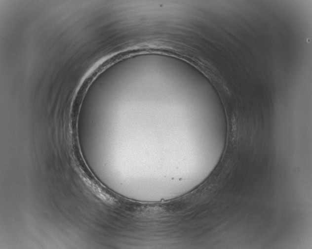 X0000077380784200610201042