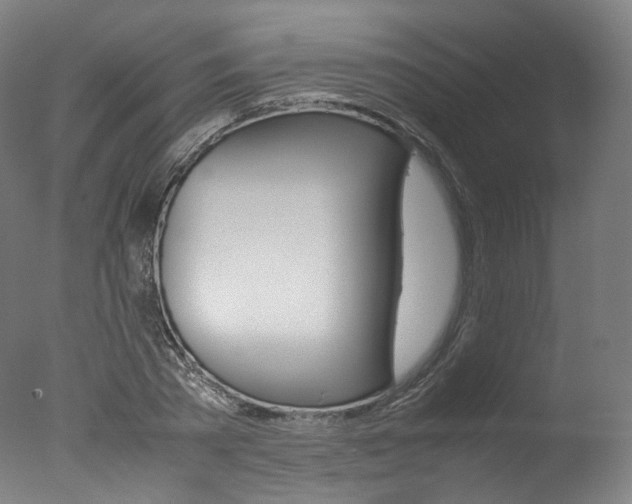 X0000077380785200610201041