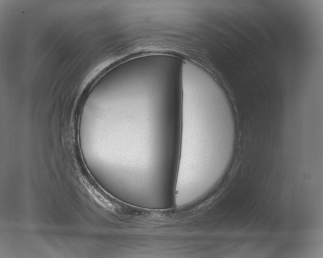 X0000077380787200610201041