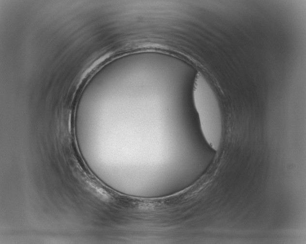 X0000077380790200610201041