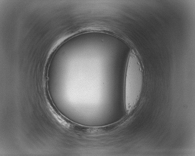 X0000077380795200610201041