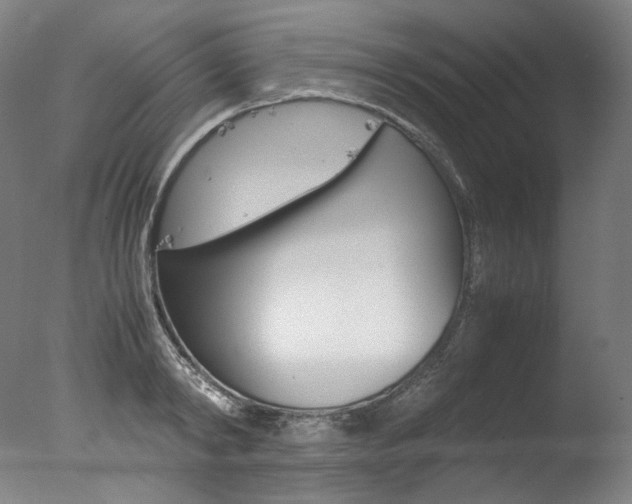 X0000077380798200610201041