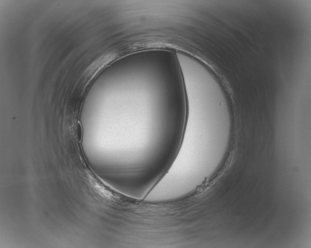 X0000077380801200610201041