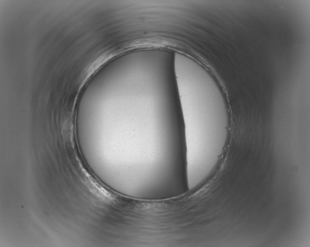 X0000077380802200610201041