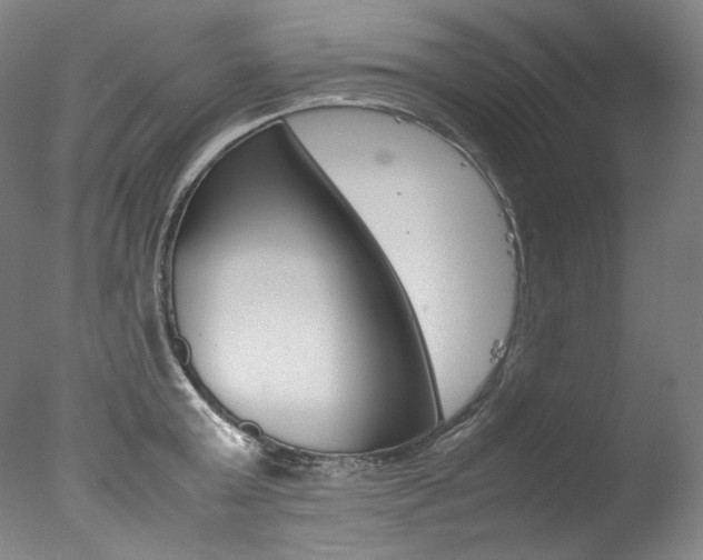 X0000077380803200610201041