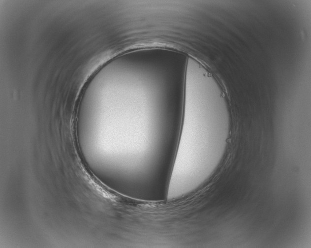 X0000077380805200610201041