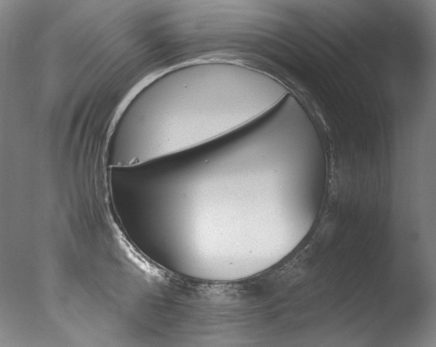X0000077380808200610201041