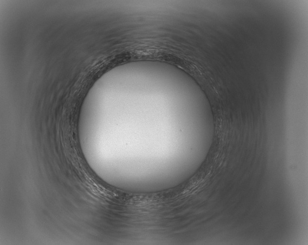 X0000077380817200610201040