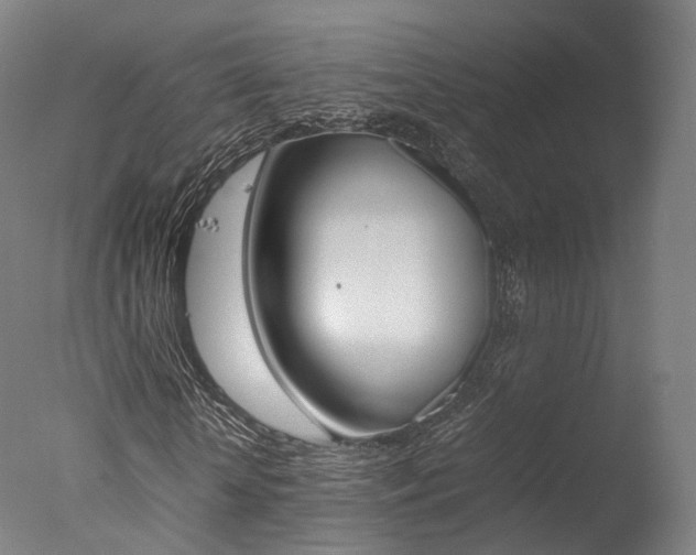 X0000077380818200610201040