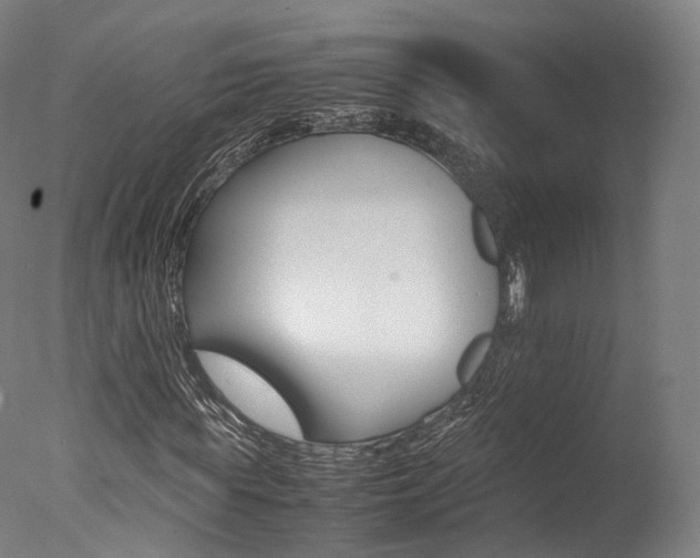 X0000077380819200610201040