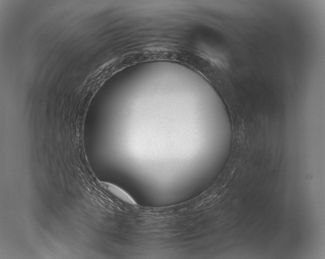 X0000077380821200610201040