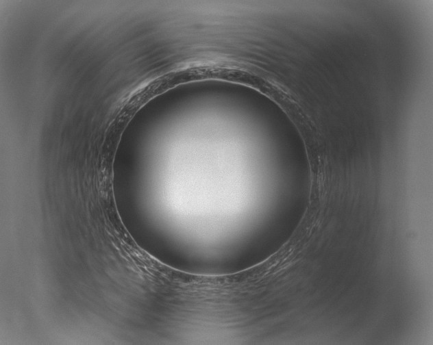 X0000077380822200610201040
