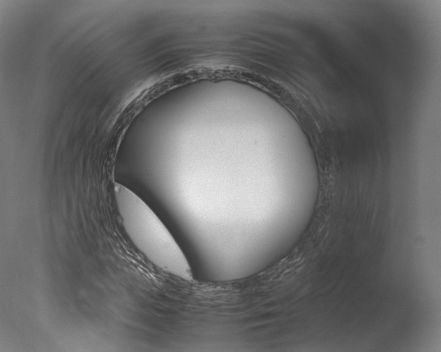 X0000077380823200610201040