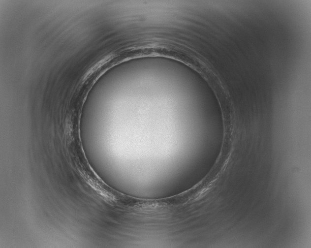 X0000077380826200610201040