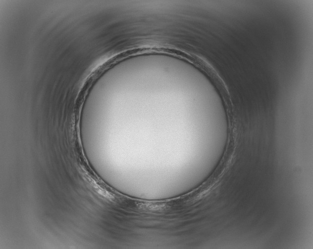 X0000077380831200610201040