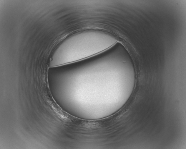 X0000077380833200610201040