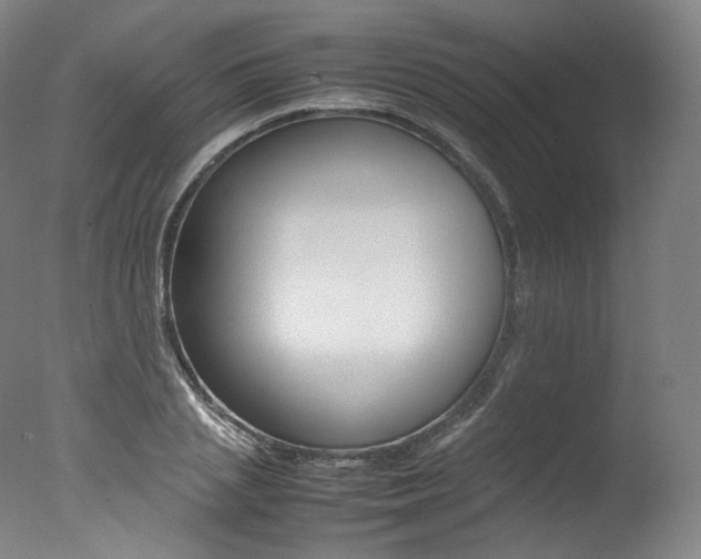 X0000077380837200610201040