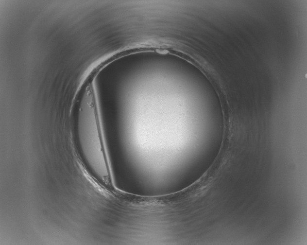 X0000077380838200610201041
