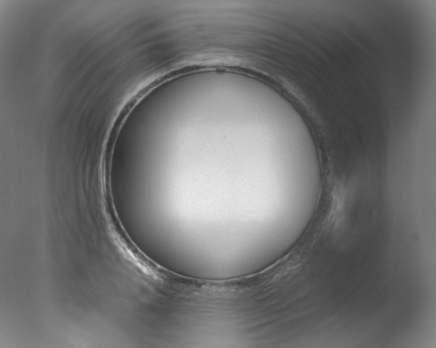 X0000077380840200610201041