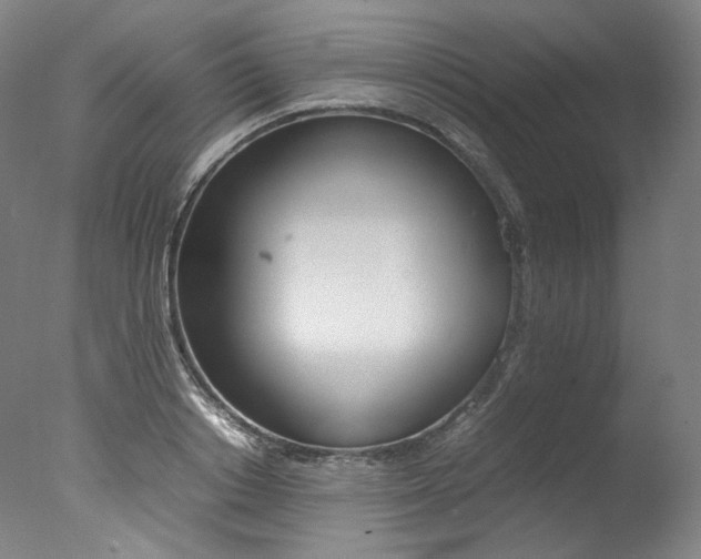 X0000077380842200610201041