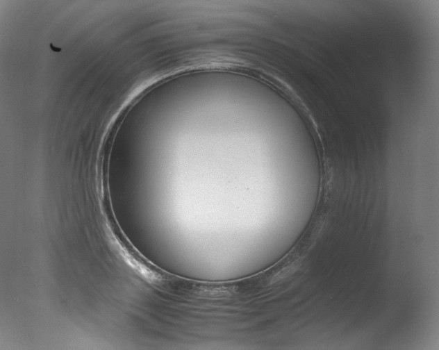 X0000077380843200610201041