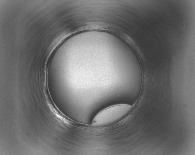 X0000077380844200610201041
