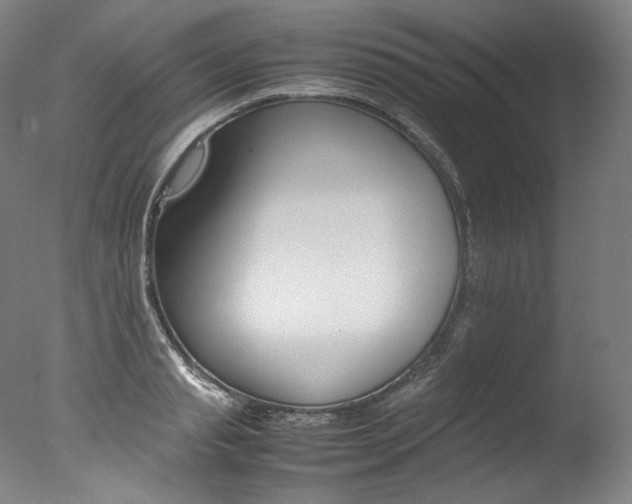 X0000077380845200610201041